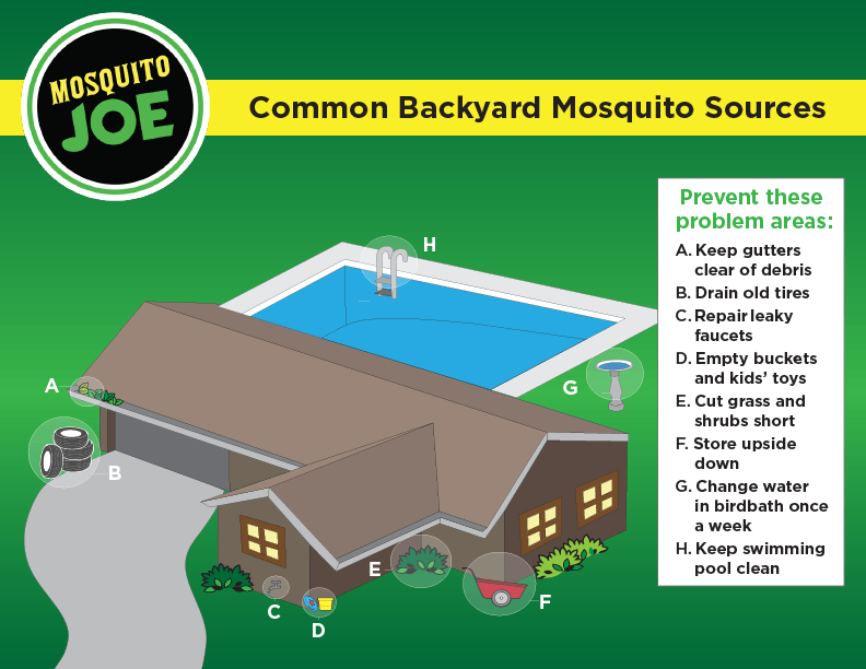 Common backyard mosquito sources.