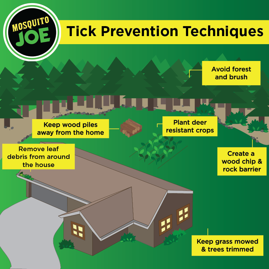Learn some tick prevention techniques for your yard. 