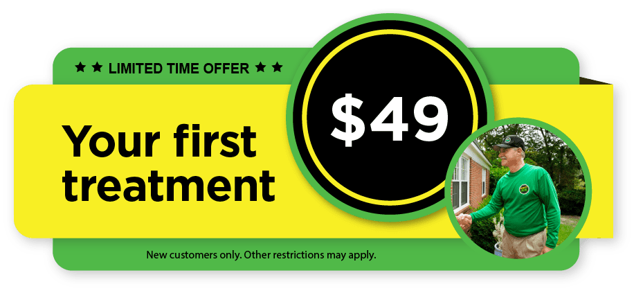 mosquito joe $49 first treatment coupon
