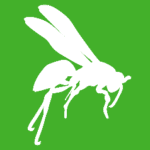 white vector image of a stinging insect on a green background